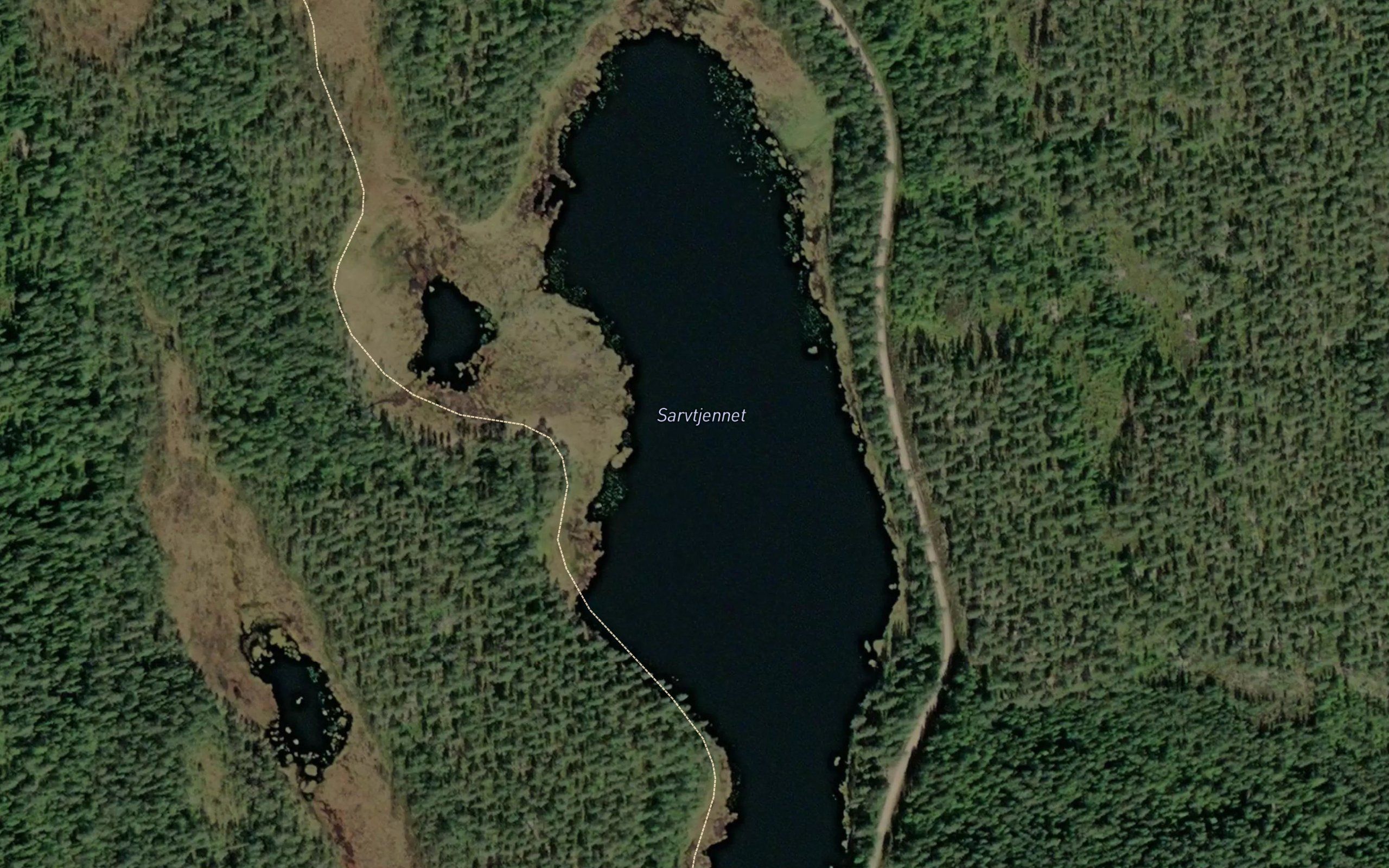 Sarvtjennet