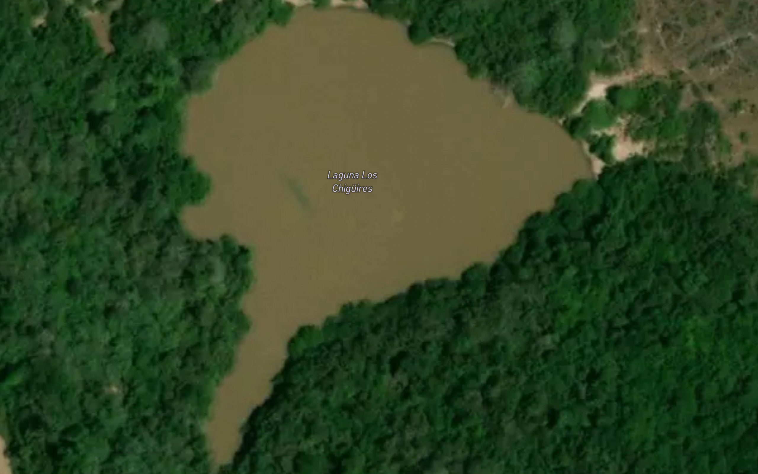 Laguna Los Chiguires