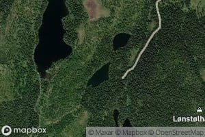 Blekketjorna