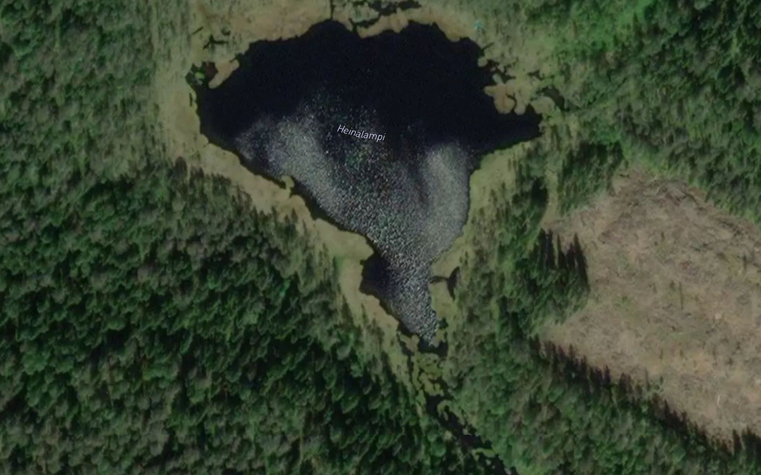 Heinalampi