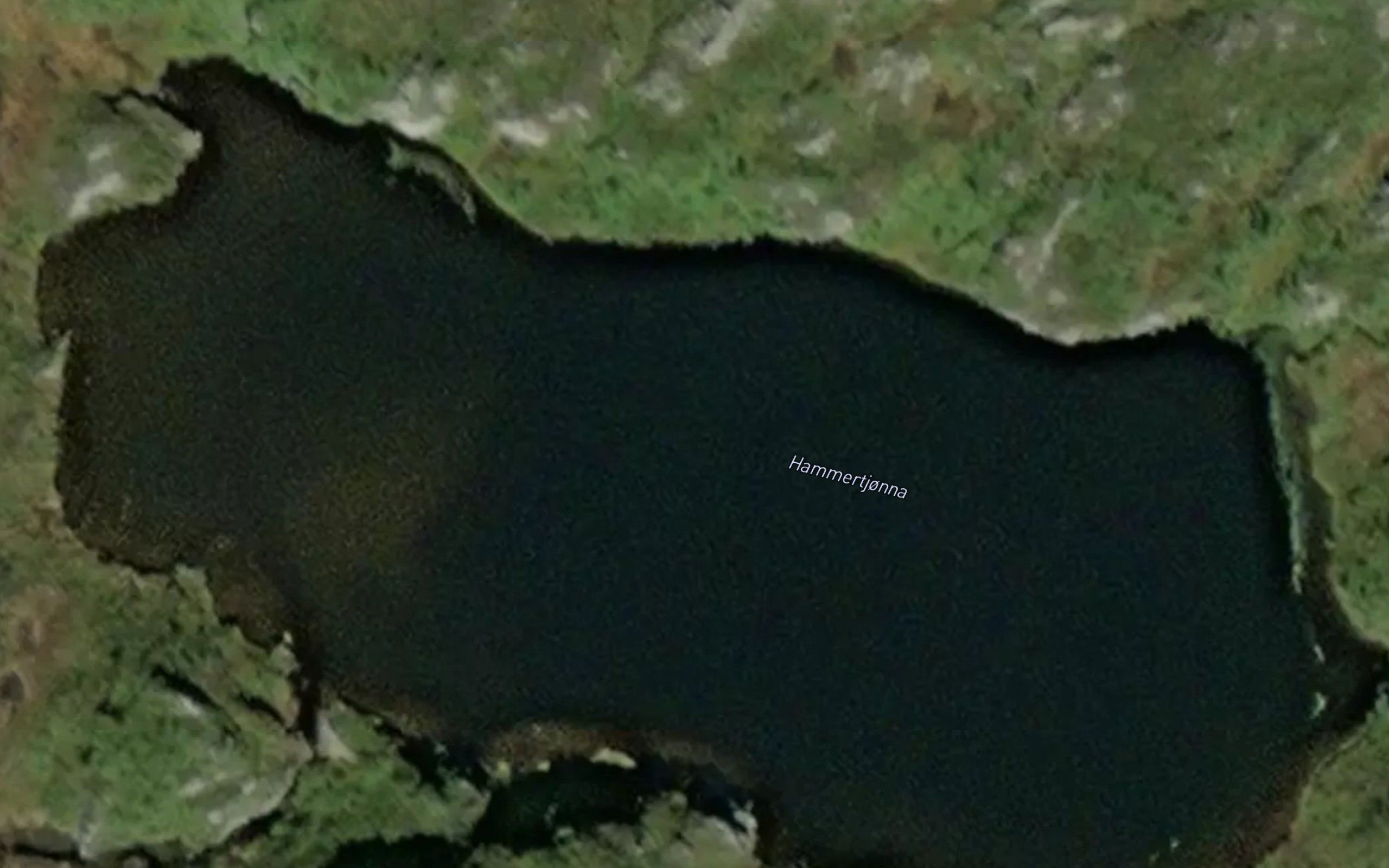 Hammertjonna
