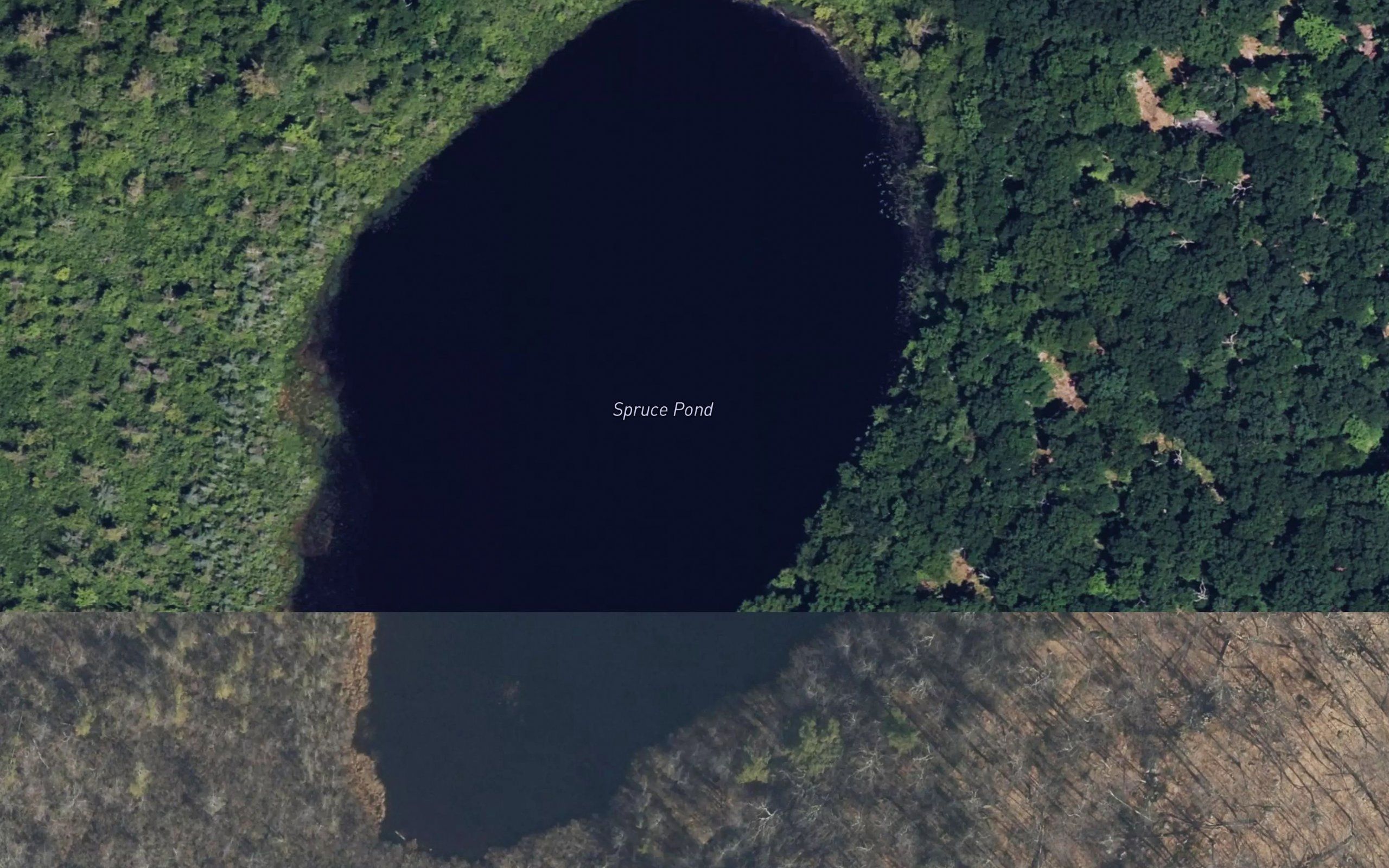 Spruce Pond