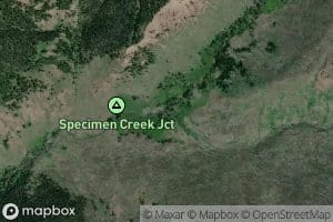 North Fork Specimen Creek