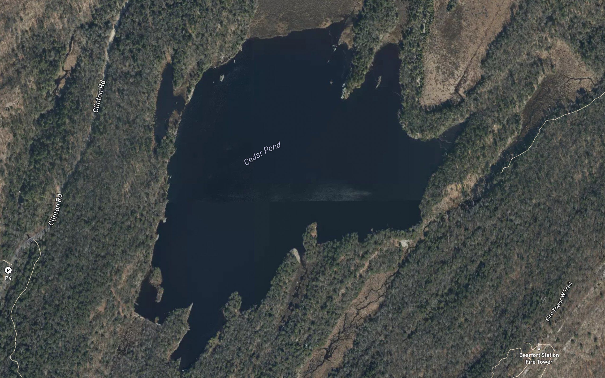 Cedar Pond