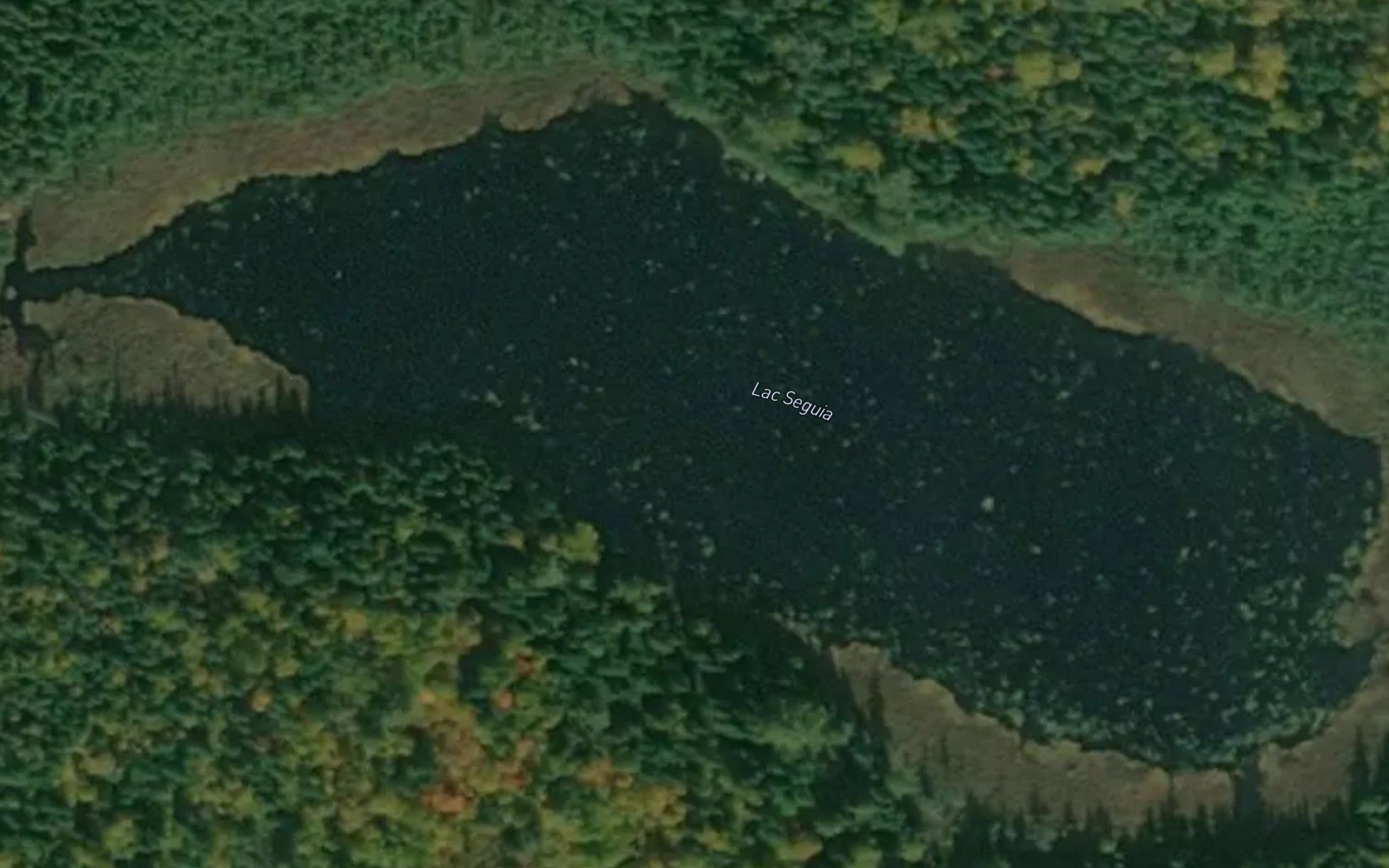 Lac Seguia