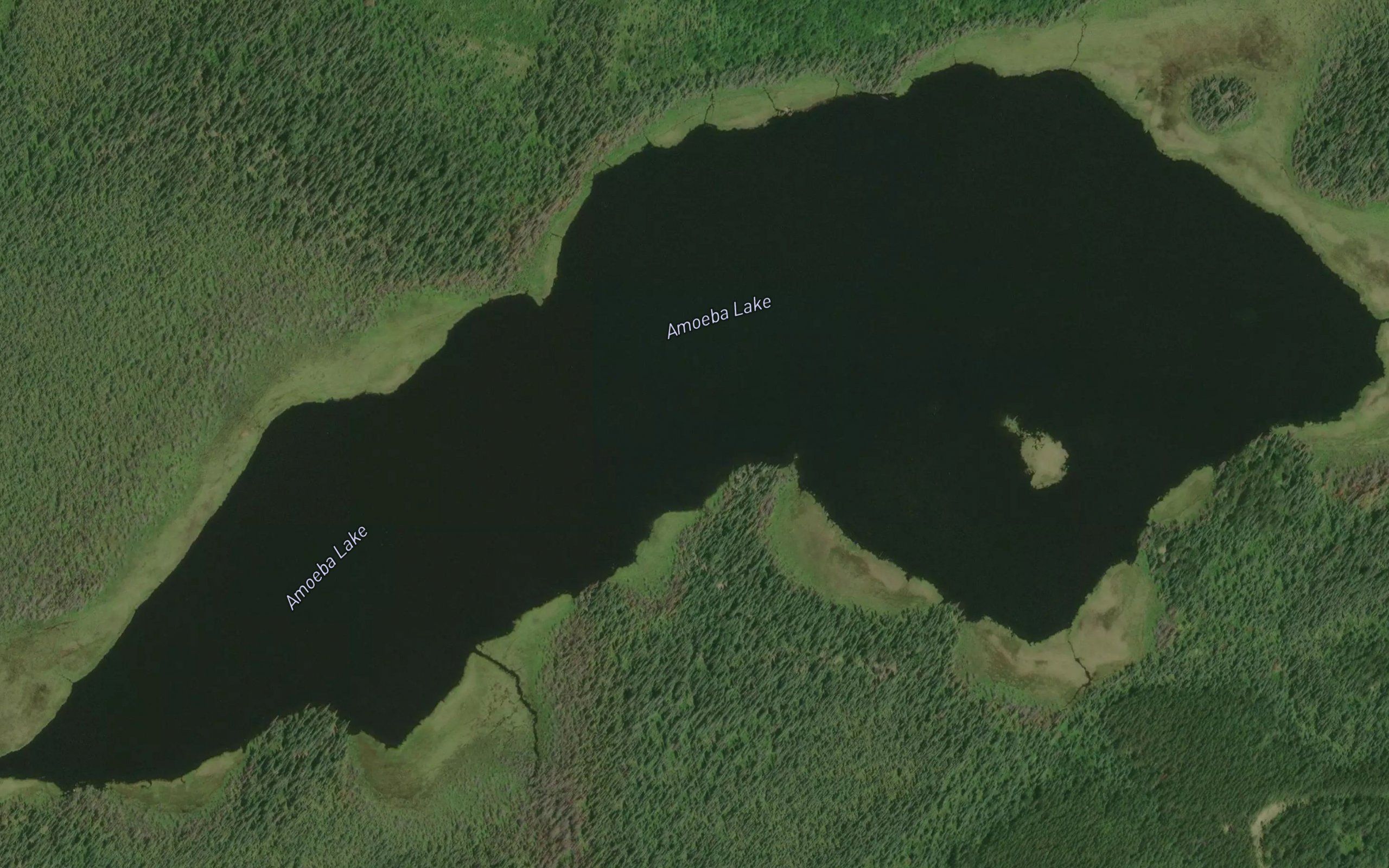 Amoeba Lake