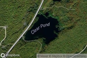 Clear Pond