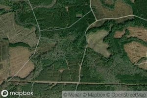 Louis Creek