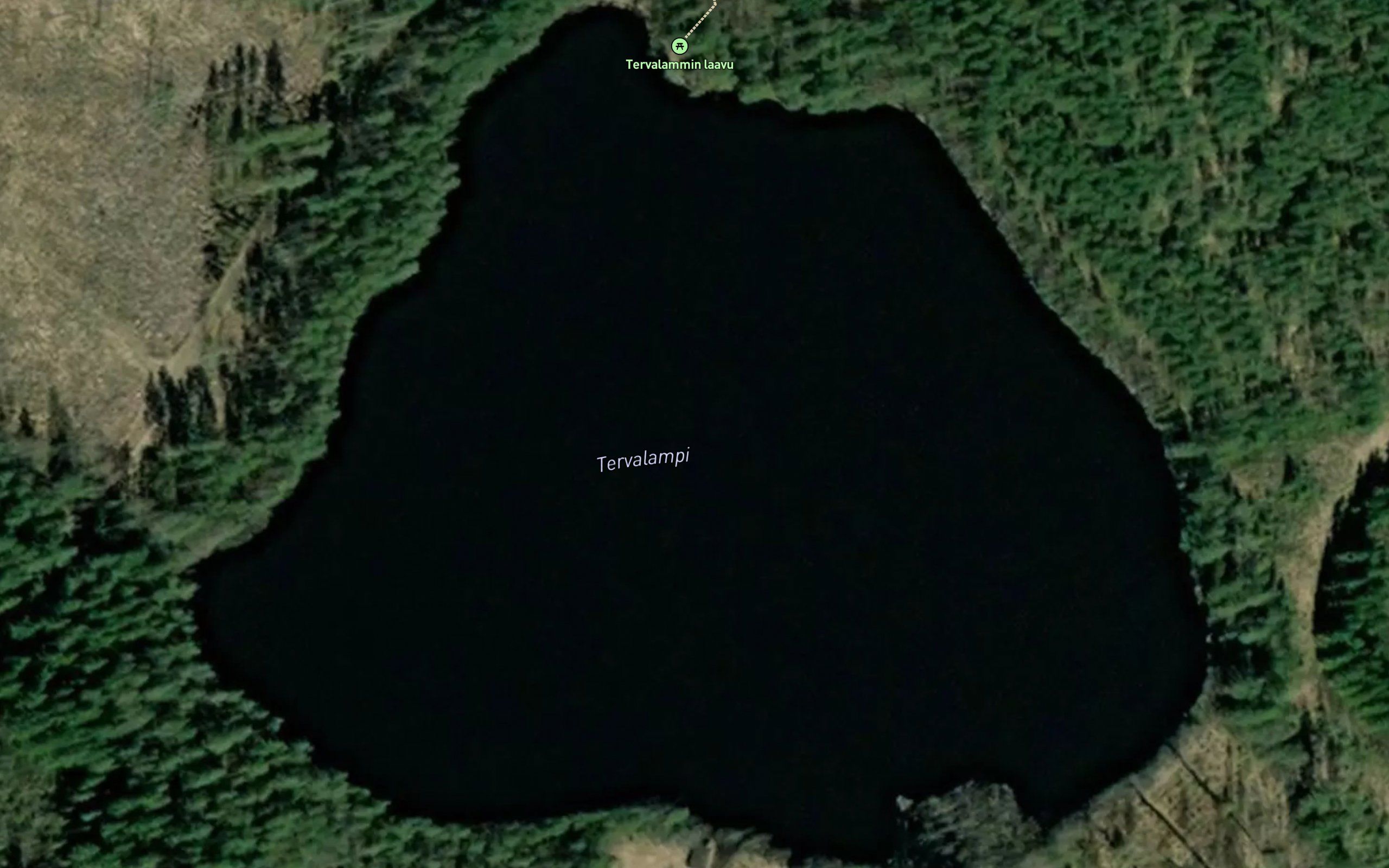 Tervalampi