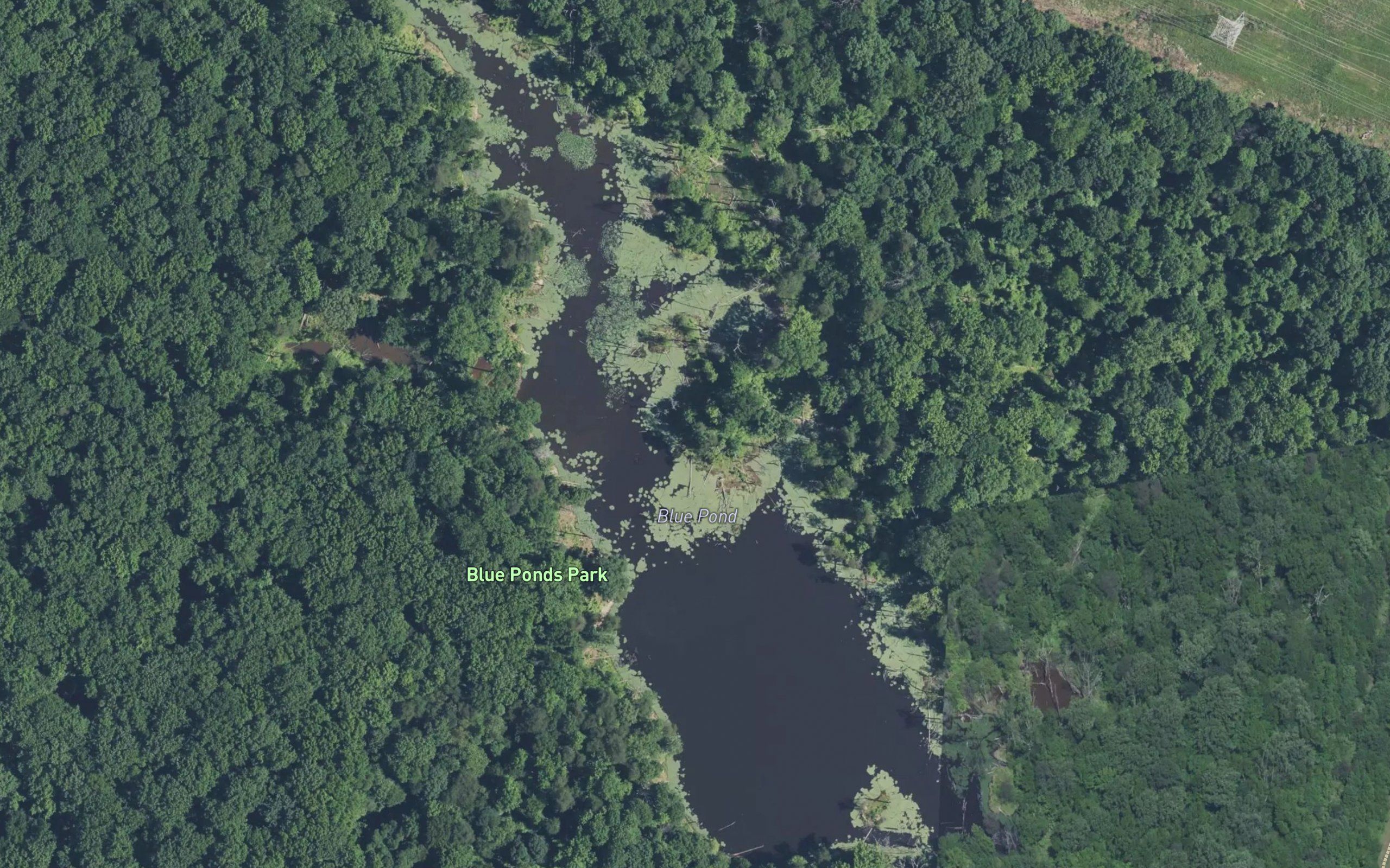 Blue Pond
