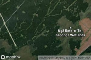 Waiharakeke Stream