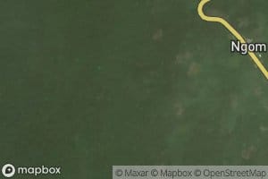Ngom
