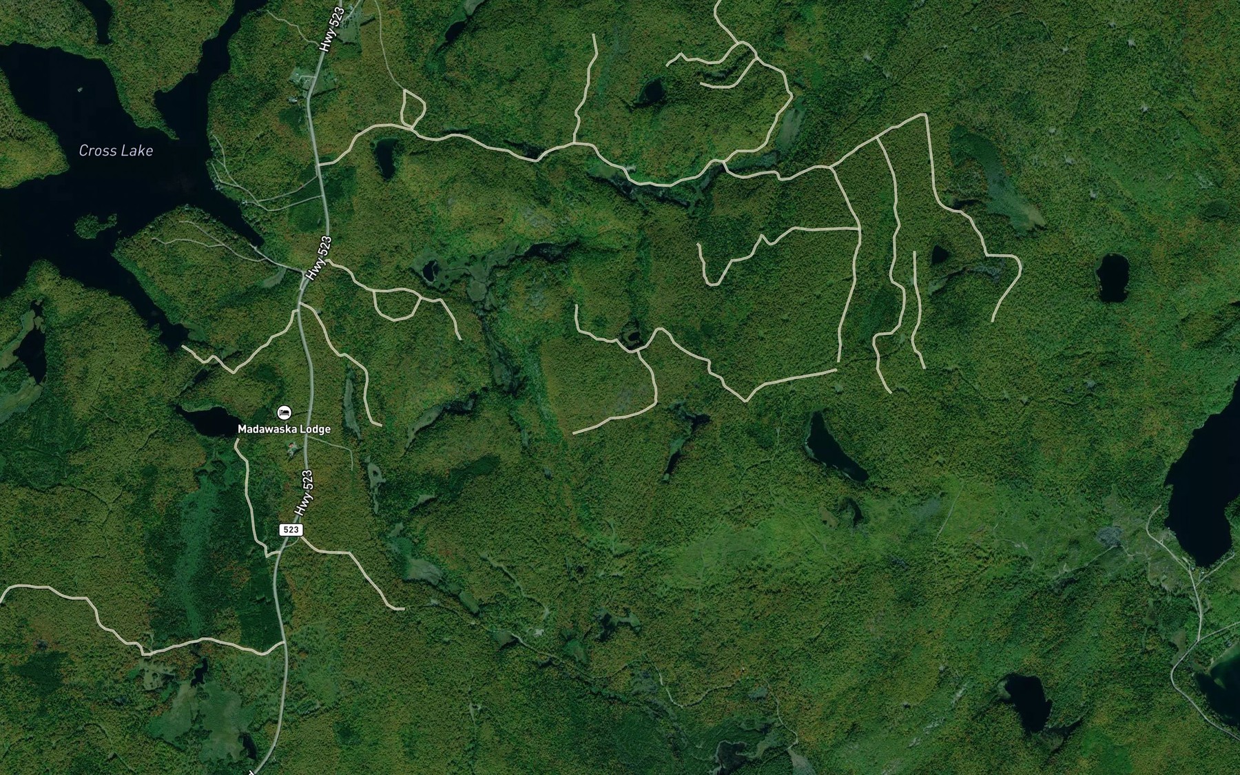 Satellite map of the Spruce Pond
