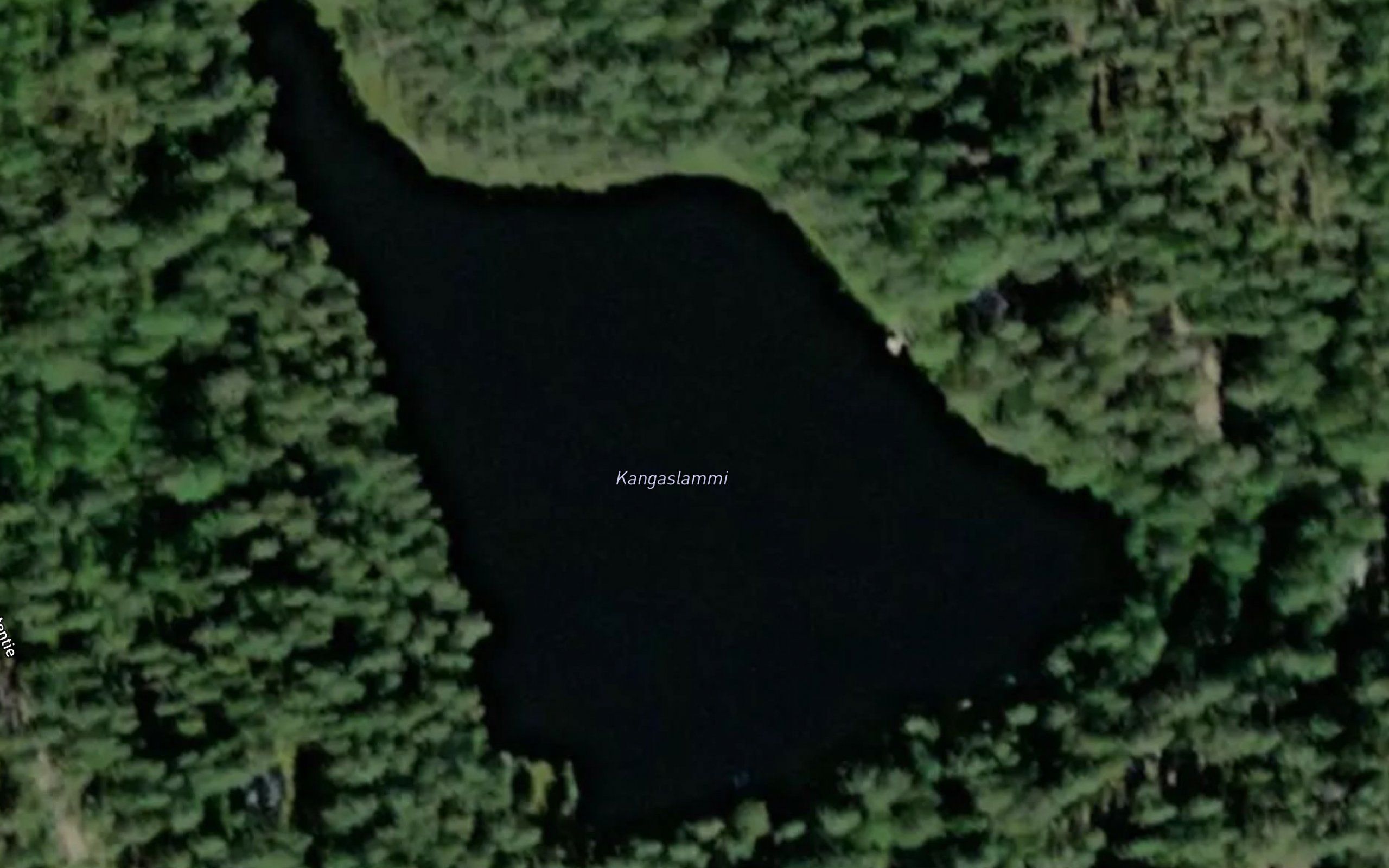 Kangaslammi