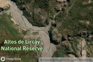 Arroyo El Despalmado