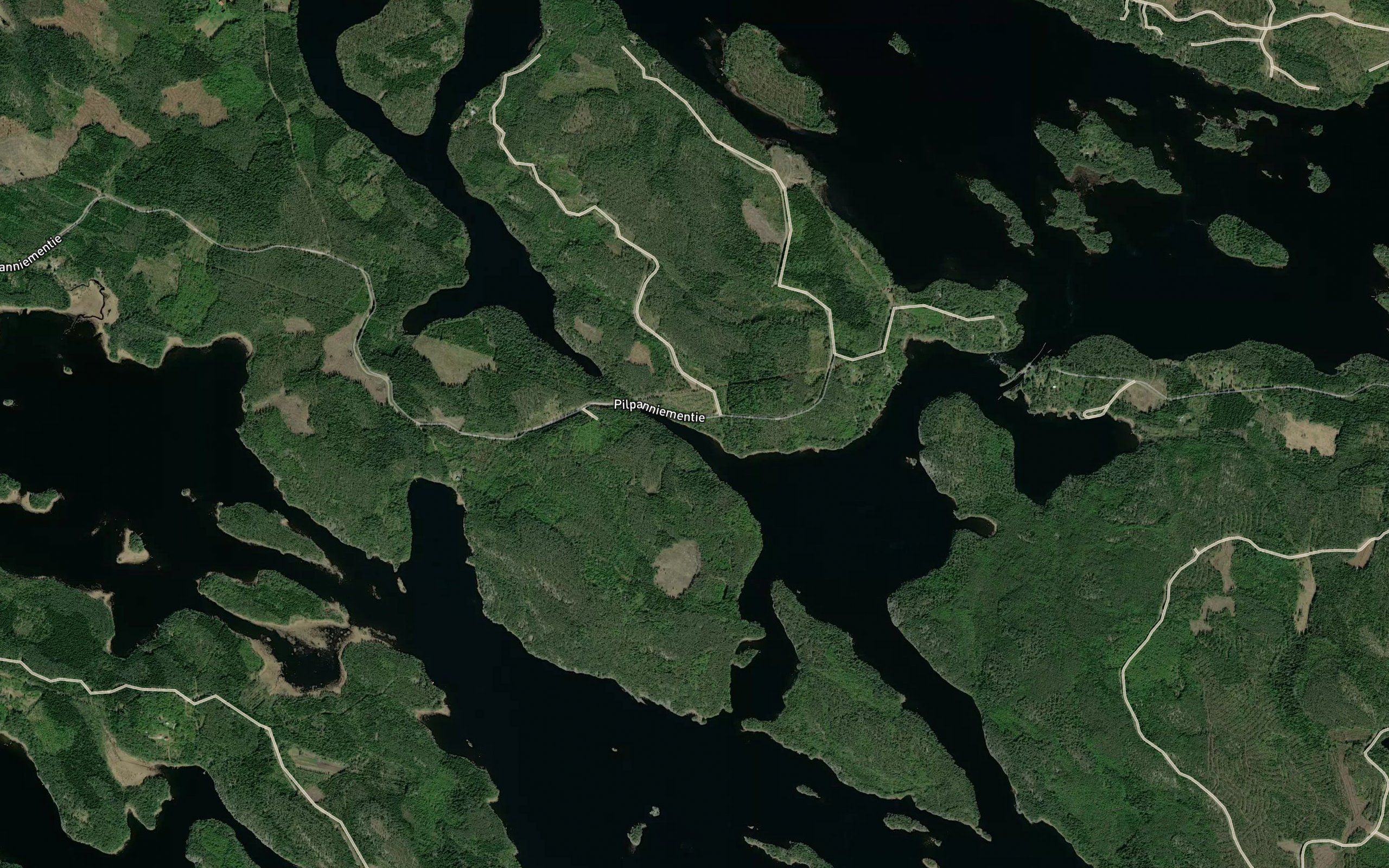 Pitkalahti