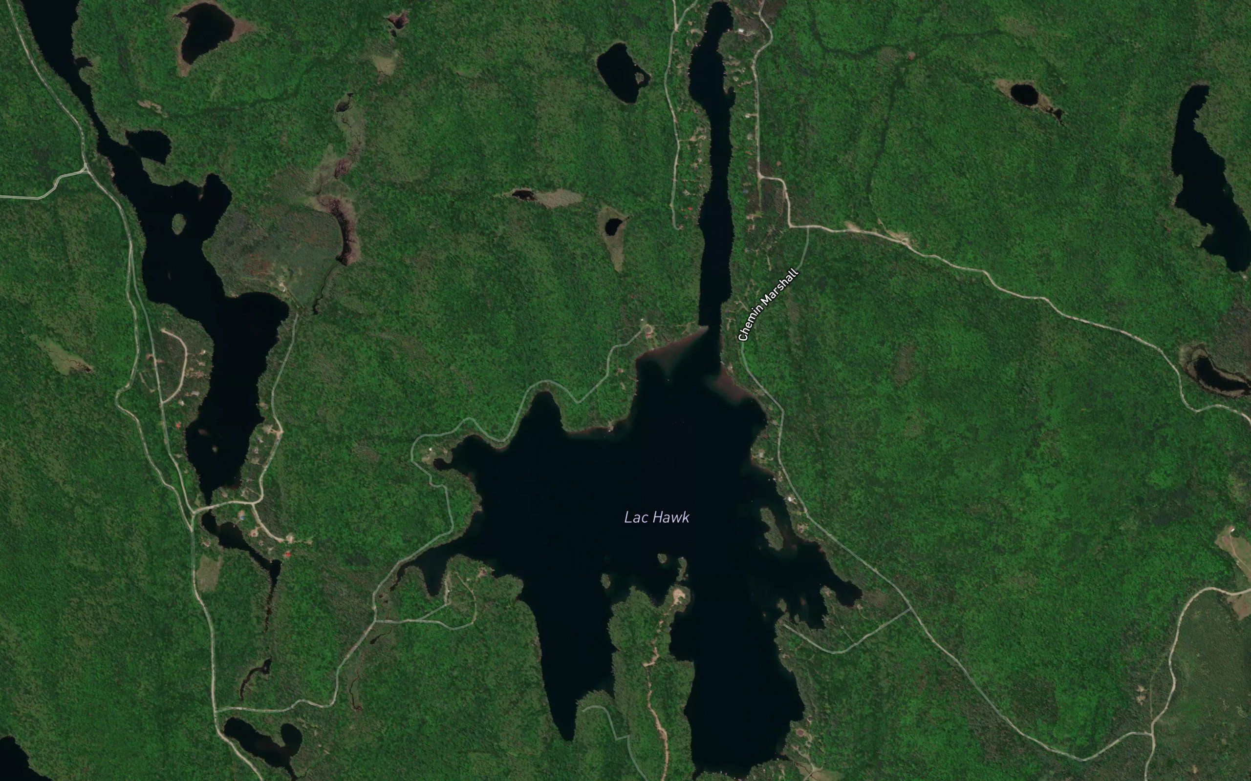 Lac Hawk
