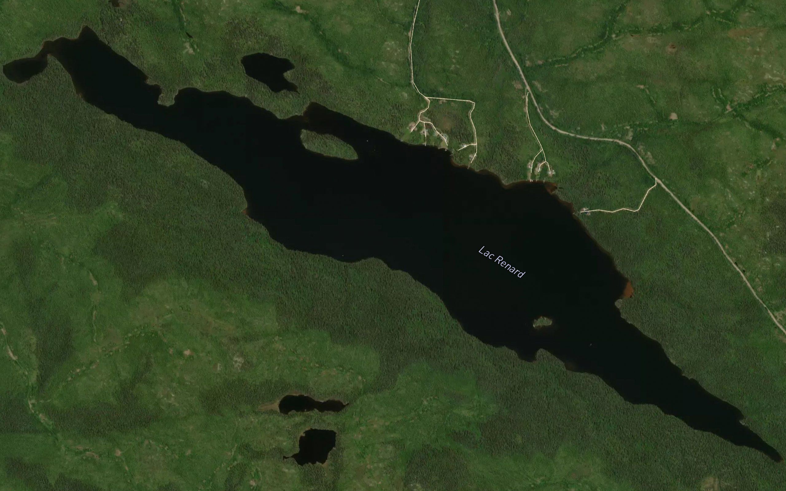 Lac Renard