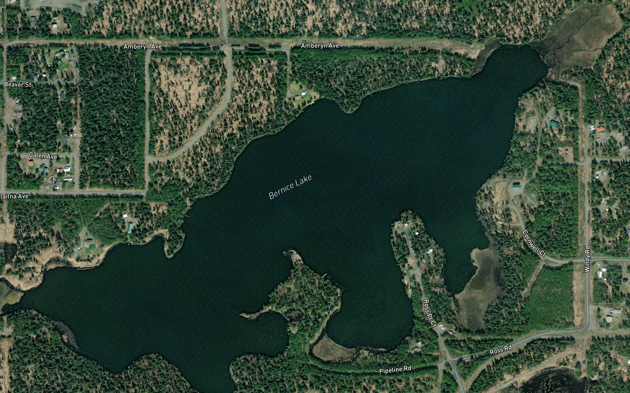 Bernice Lake