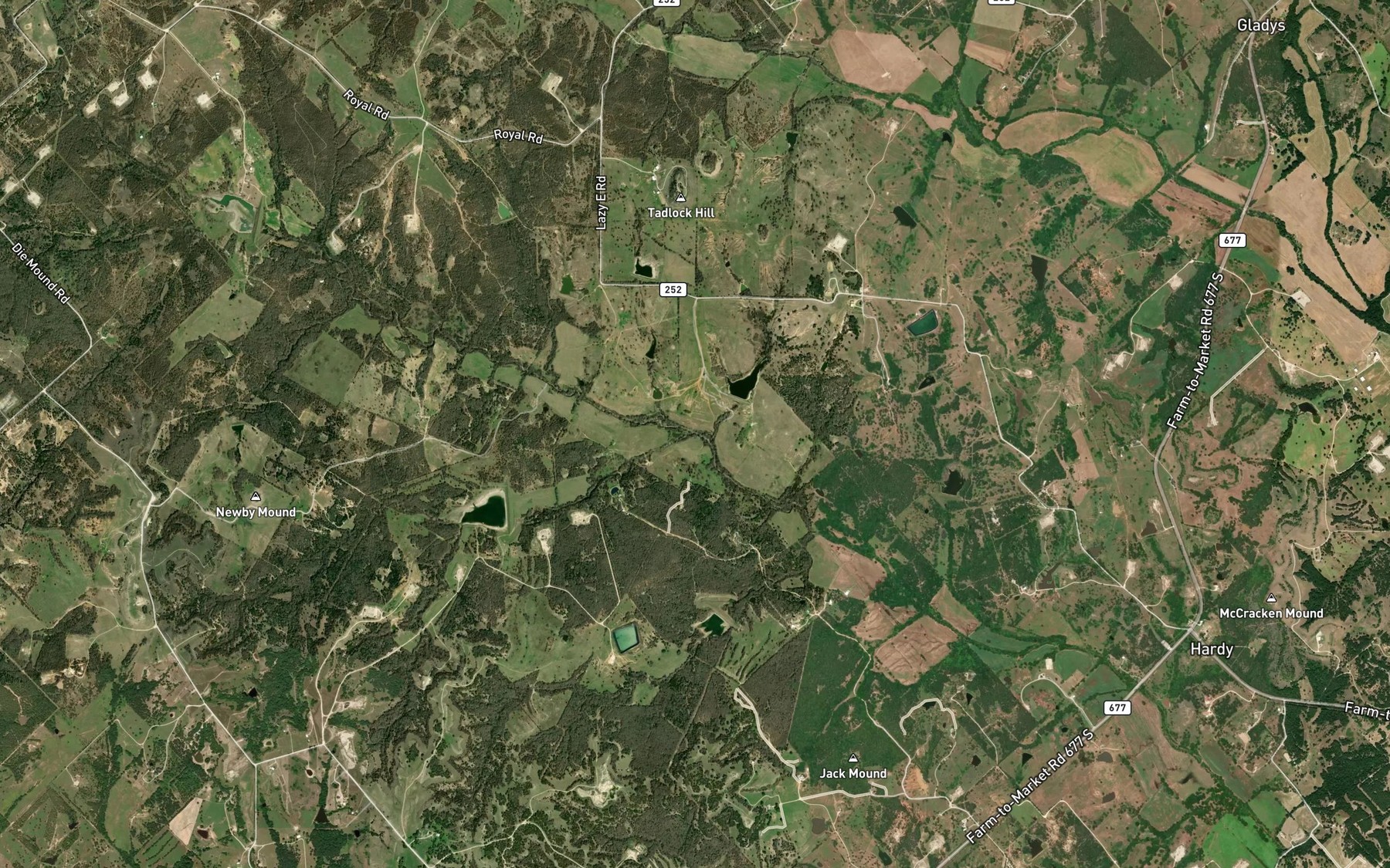 Satellite map of the Fannin Branch