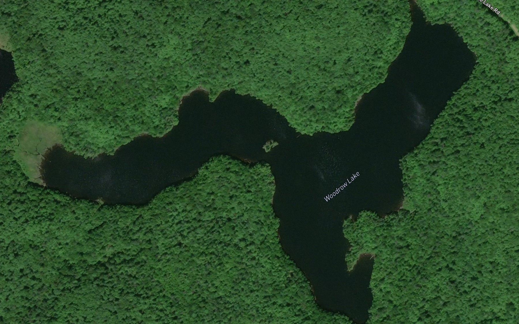 Satellite map of the Woodrow Lake