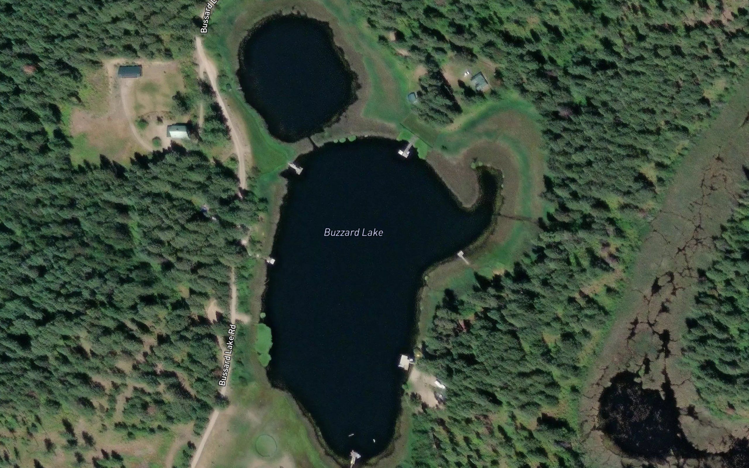 Buzzard Lake