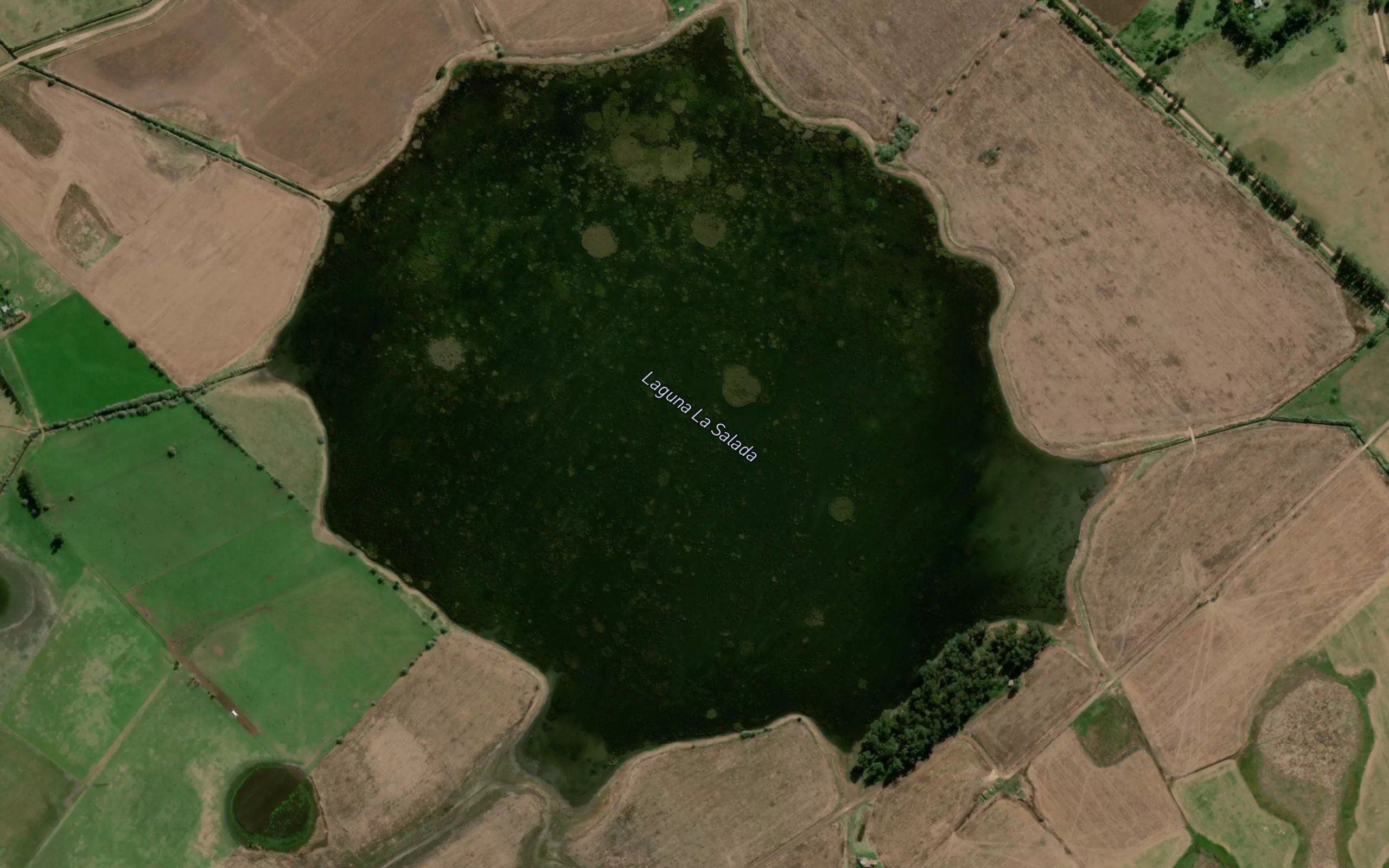 Laguna La Salada