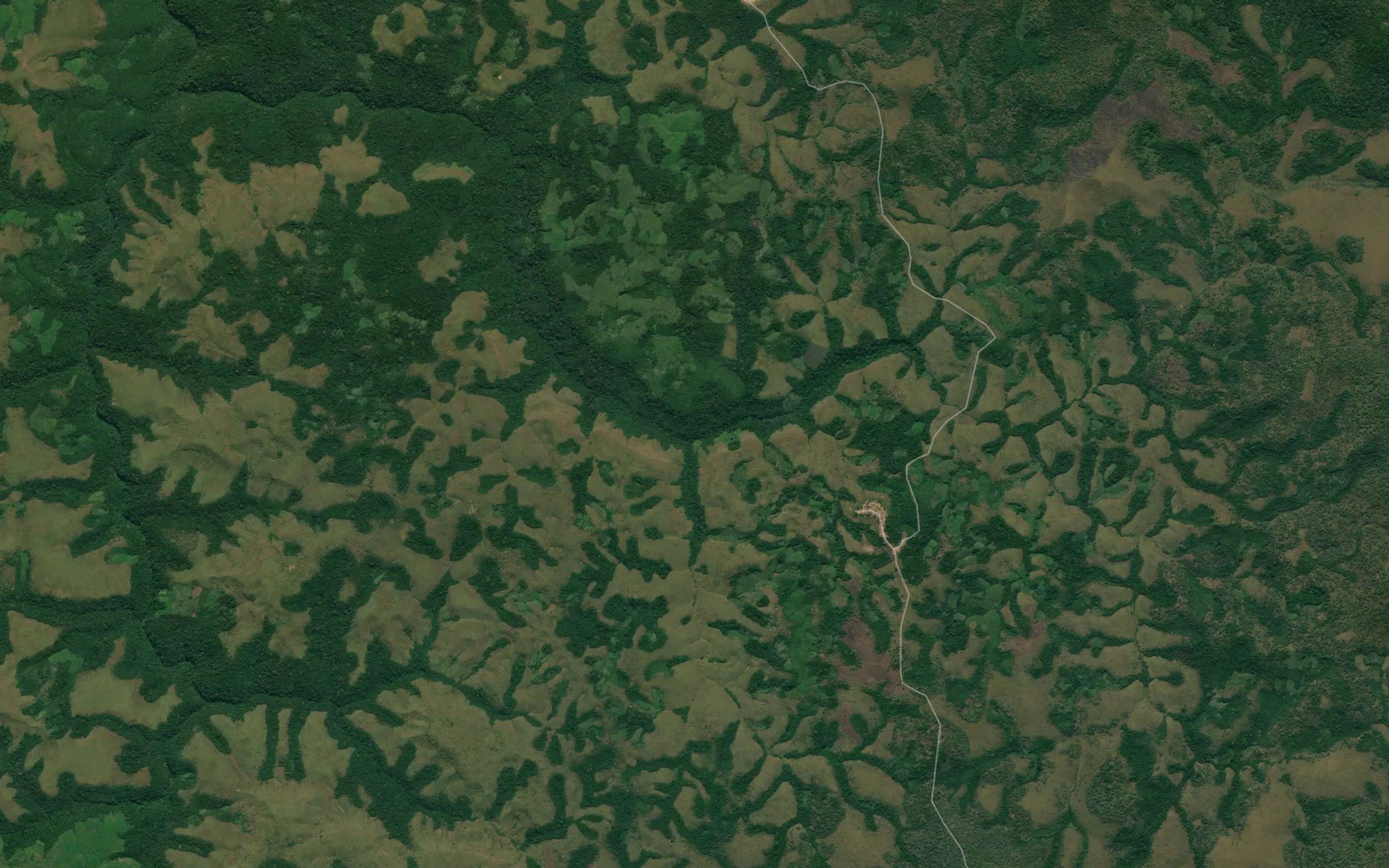 Timulo