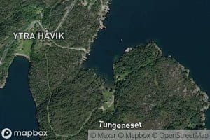 Tungebarmen