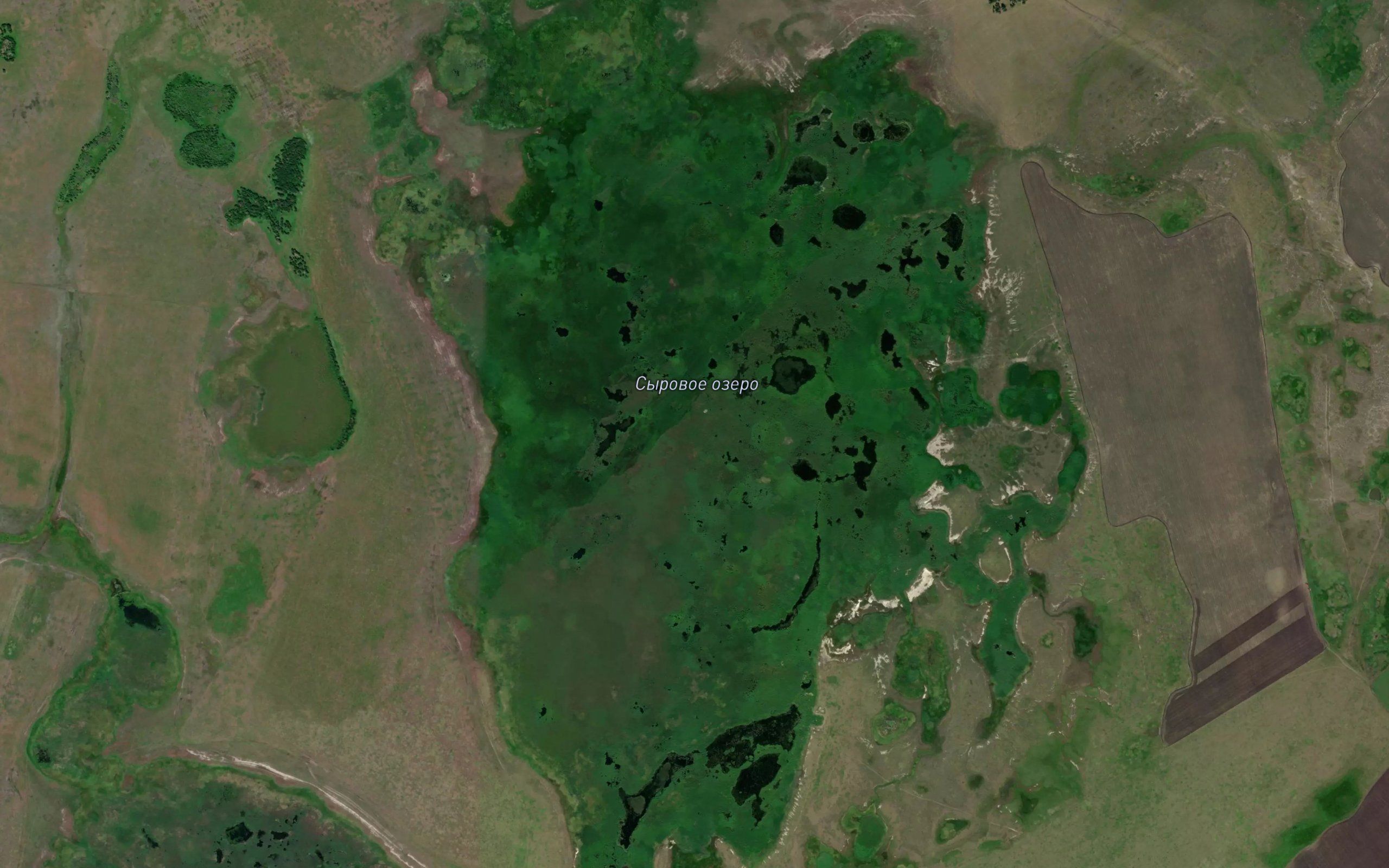 Ozero Syrovoye