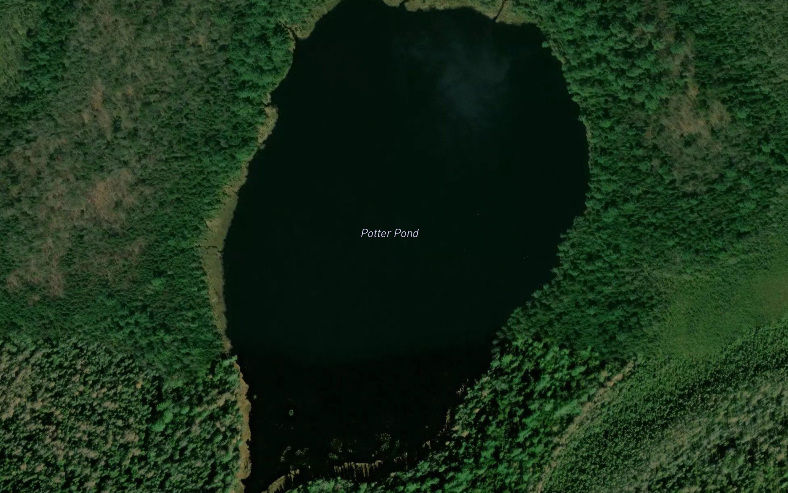 Potter Pond