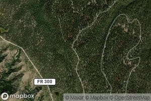 Middle Leonard Number Two Spring