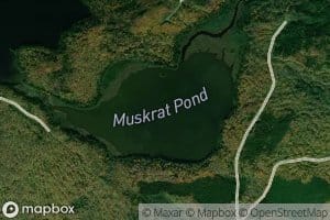 Muskrat Pond