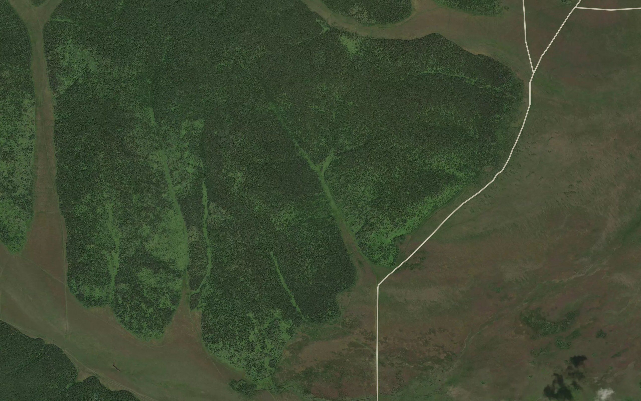 Pad' Petrukhina