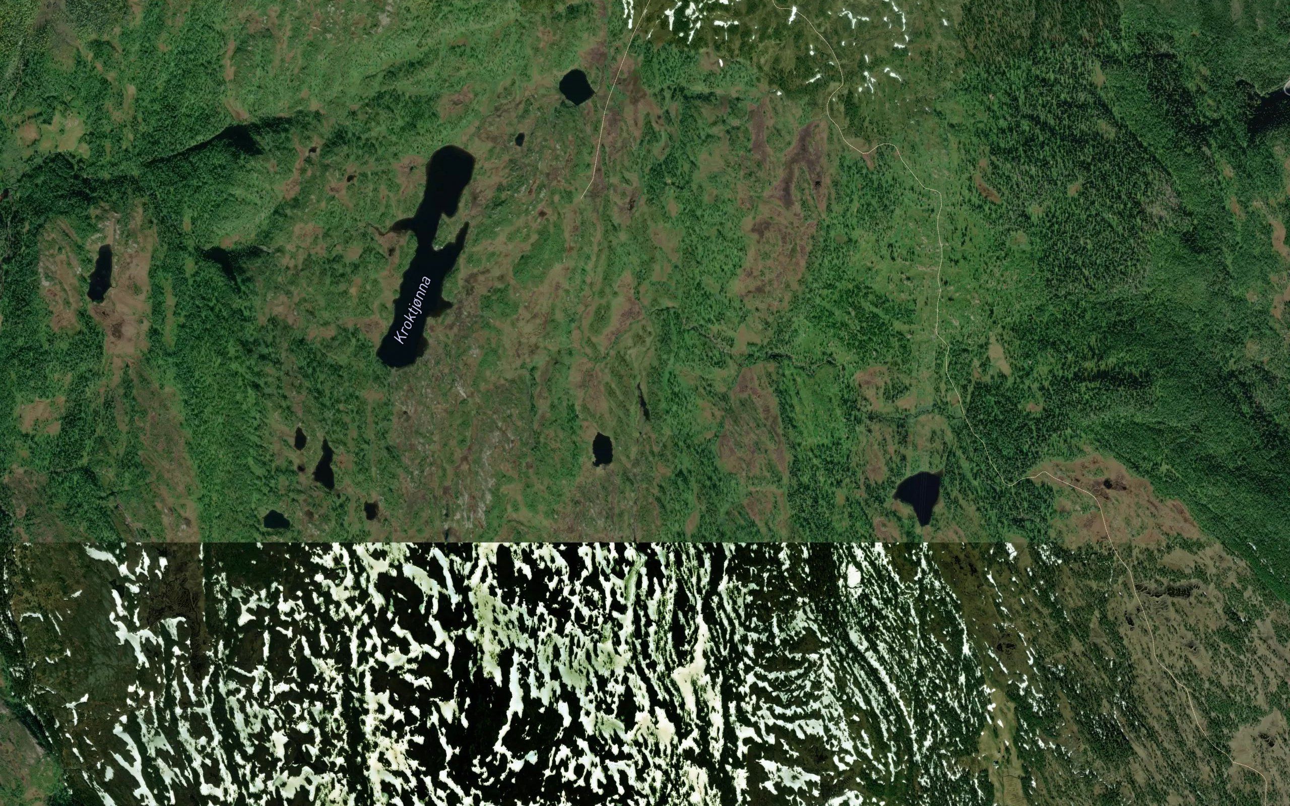 Vargtjorna