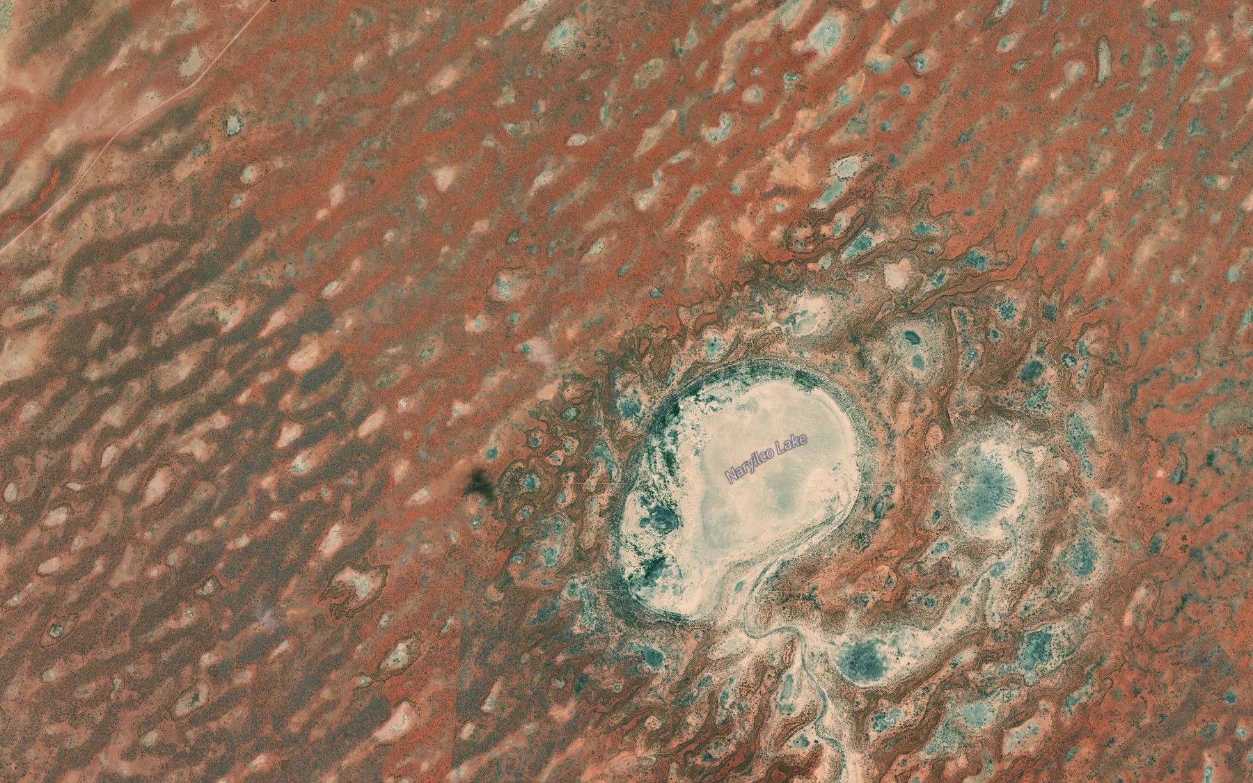 Satellite map of the Naryilco Lake