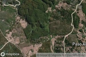 Estero de los Coligues