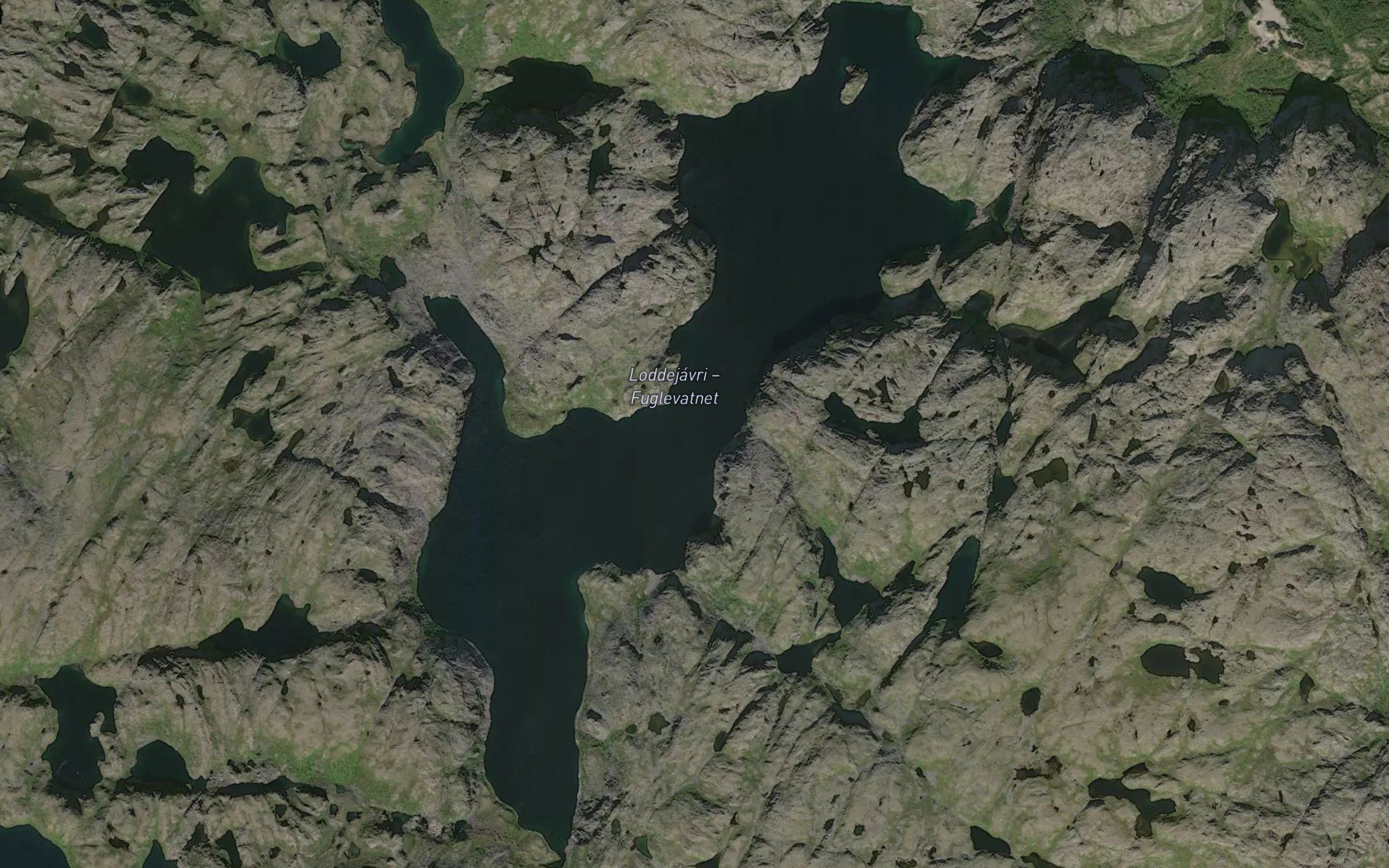 Fuglevatnet