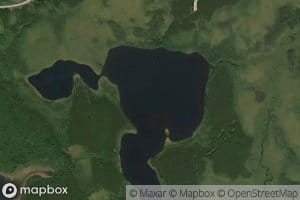 Lac Molinia