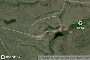 Olson Spring