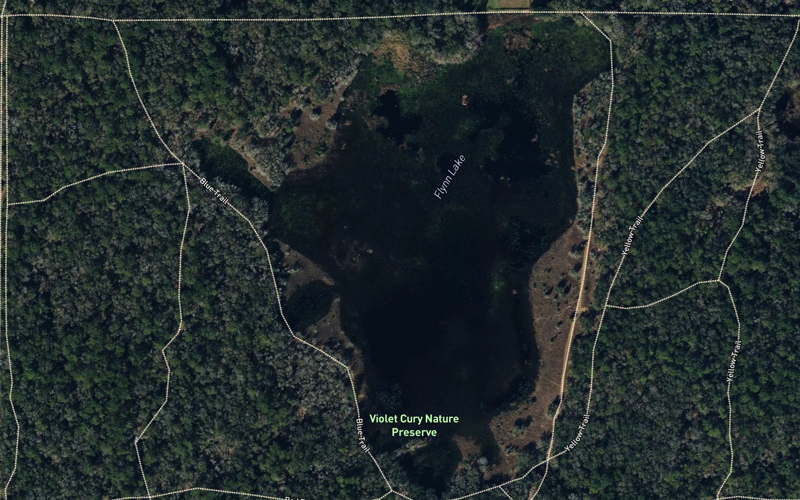 Flynn Lake