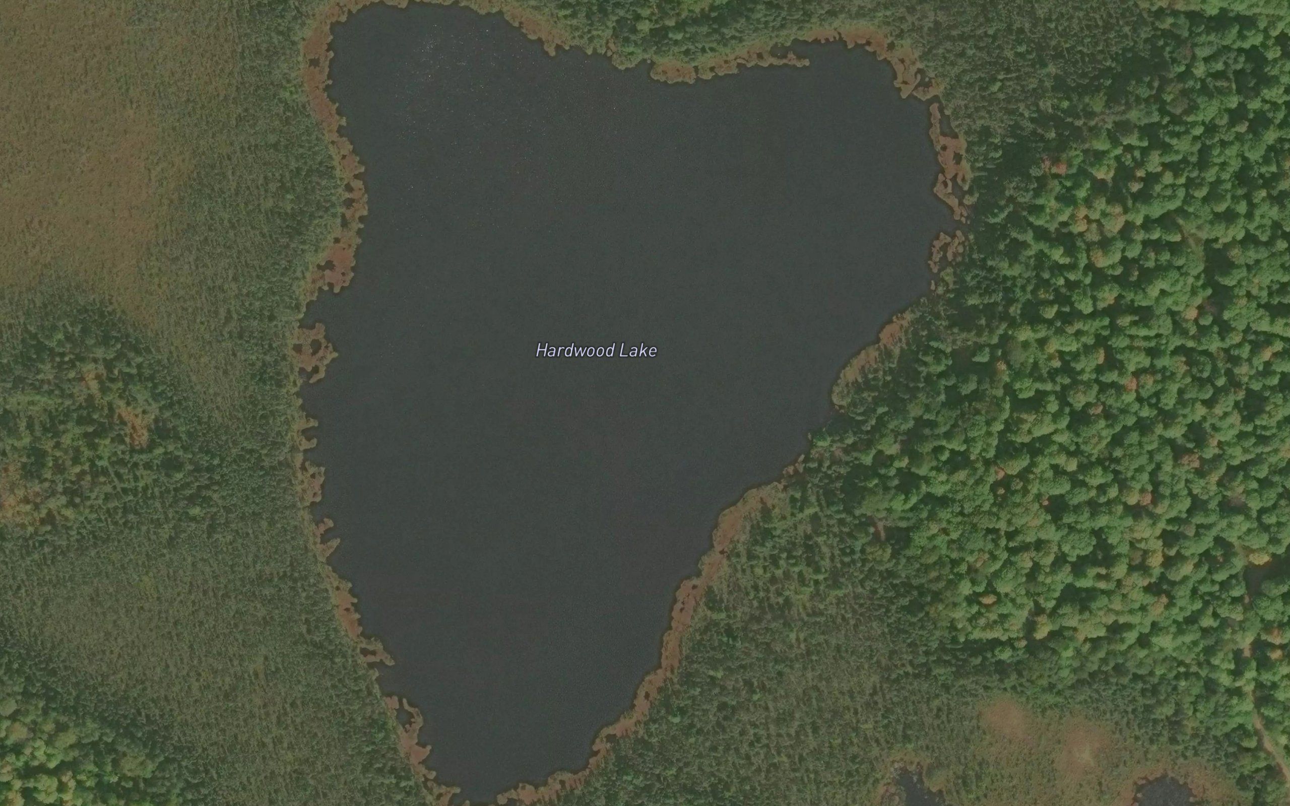 Hardwood Lake