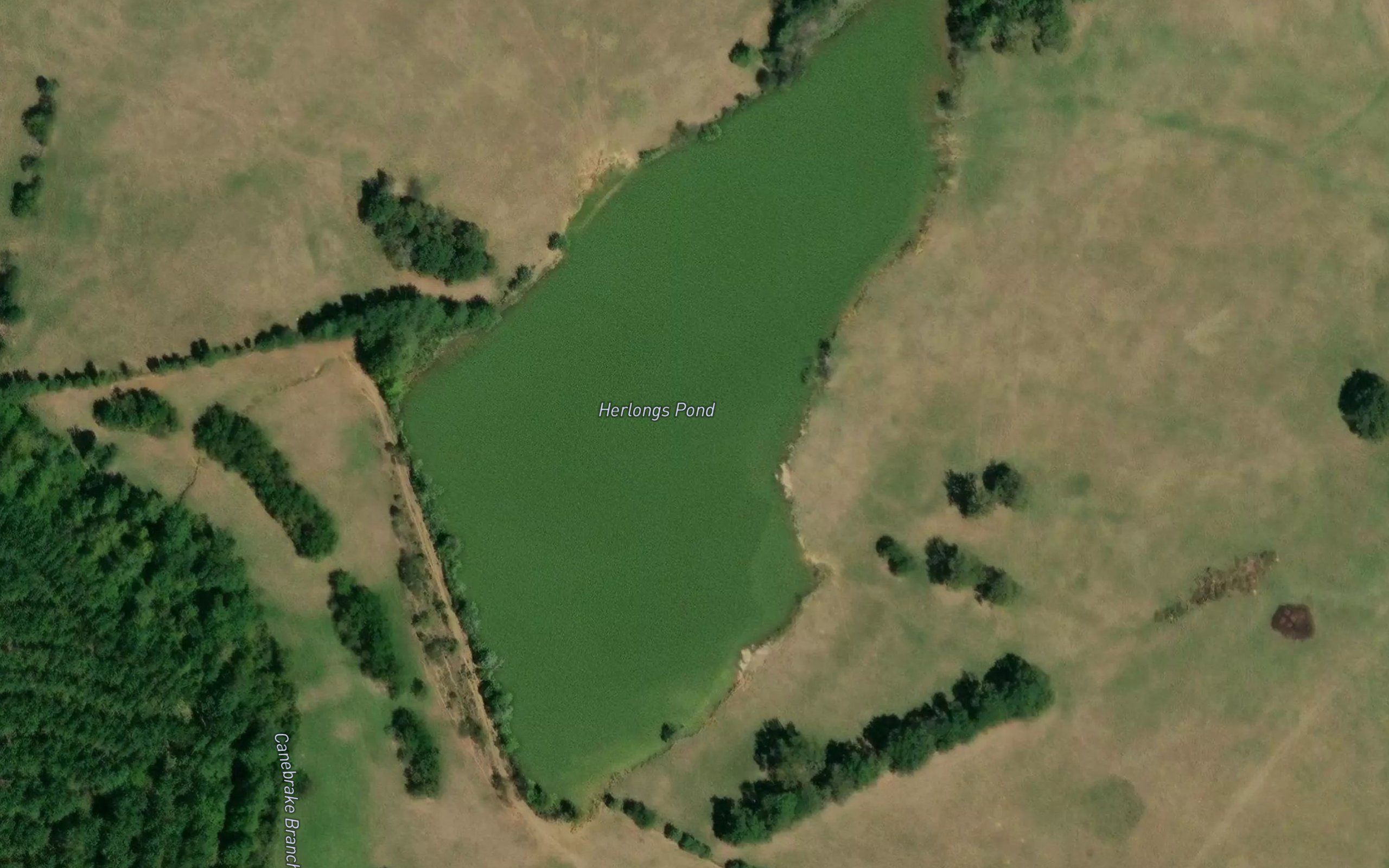 Herlongs Pond