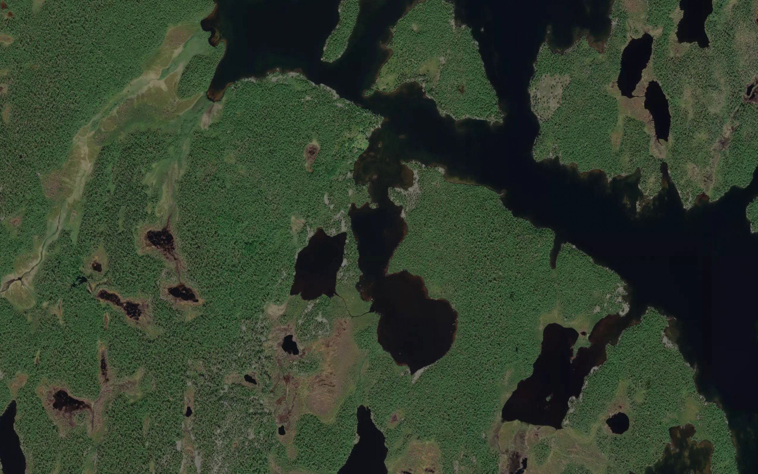 Nilivuopaja