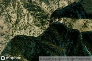 Mandolin Creek