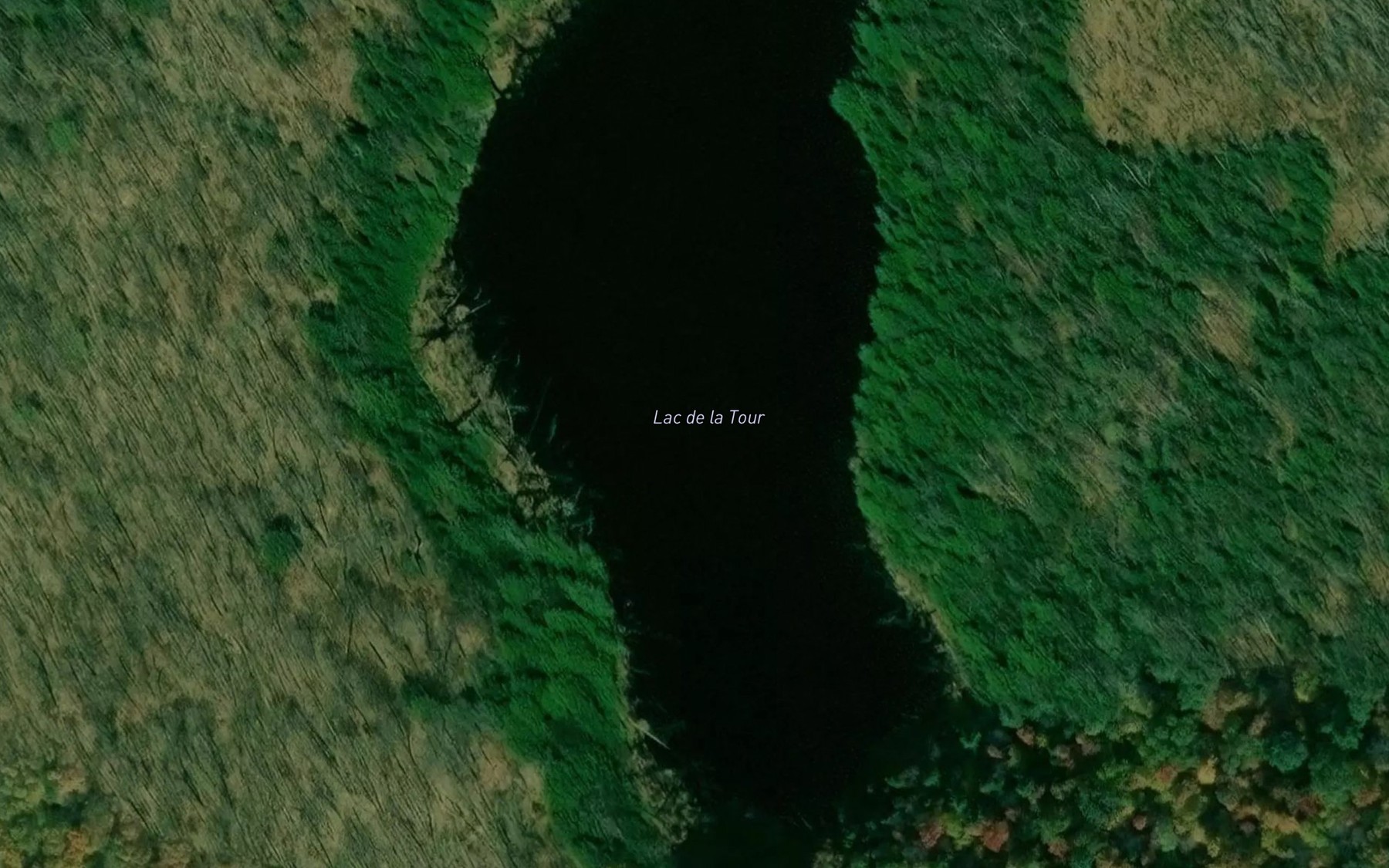 Satellite map of the Lac de la Tour