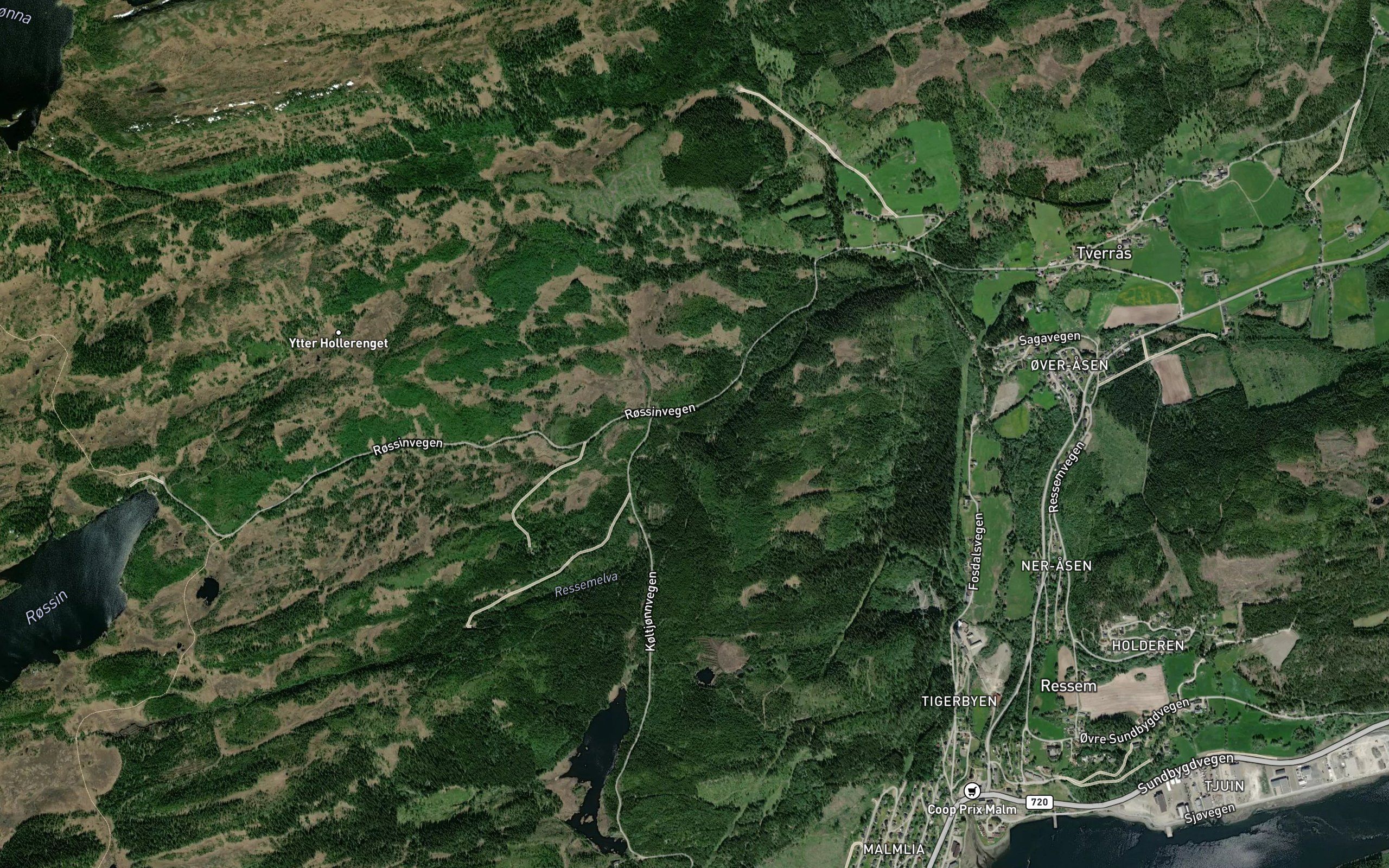 Skulen