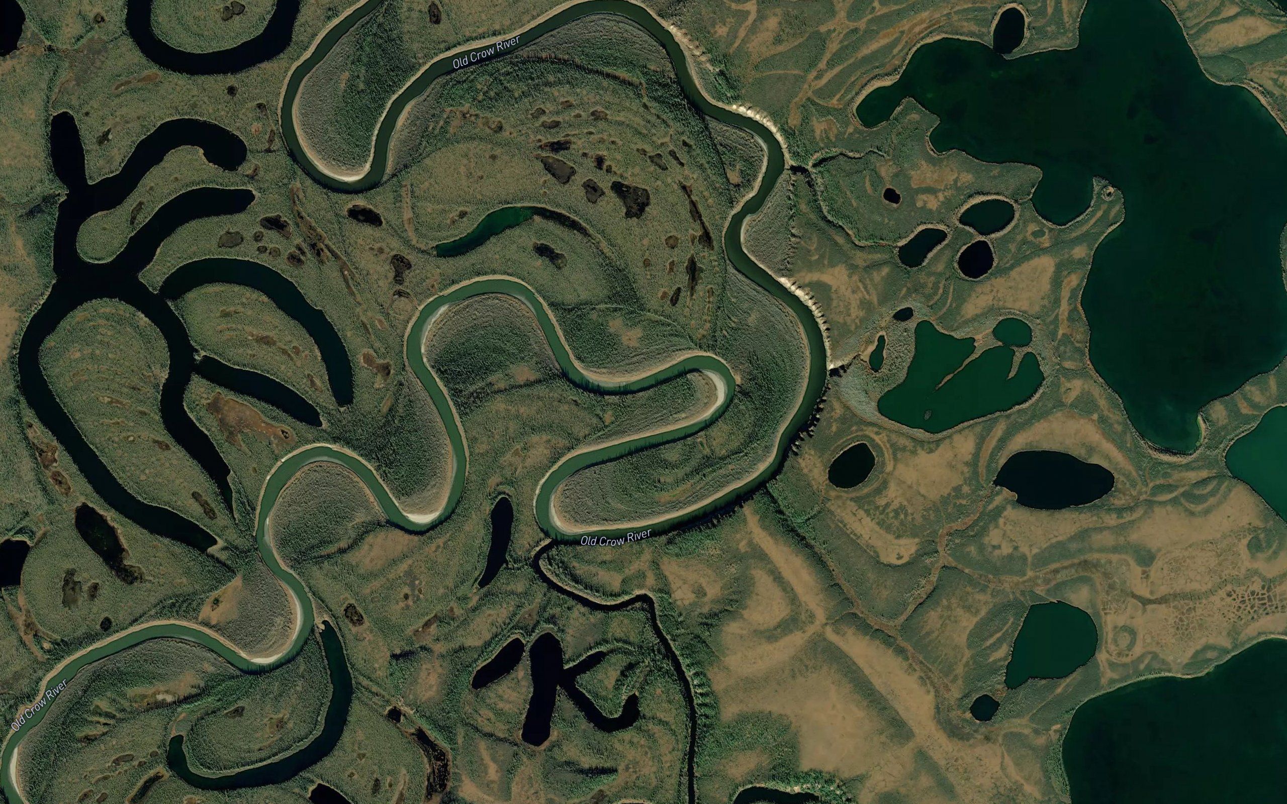 Surprise Creek