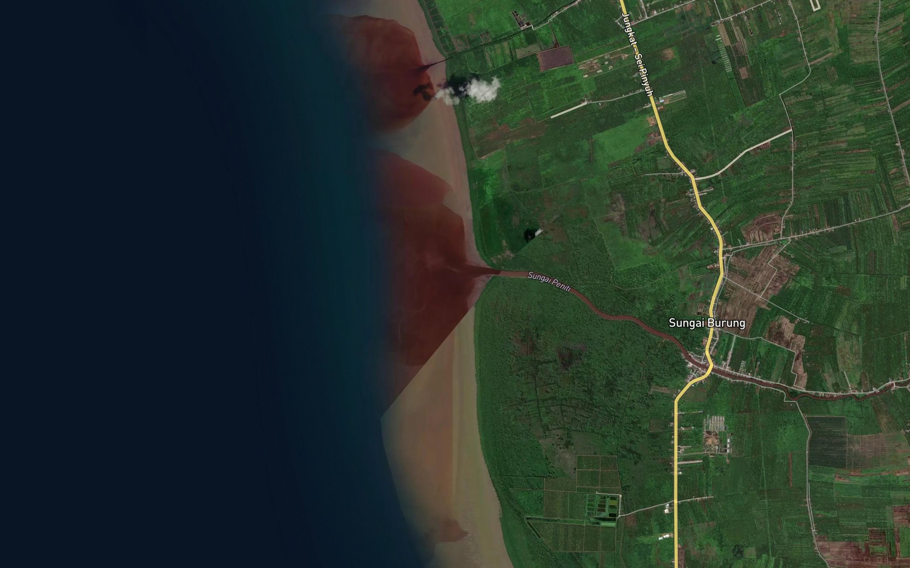 Satellite map of the Teluk Peniti