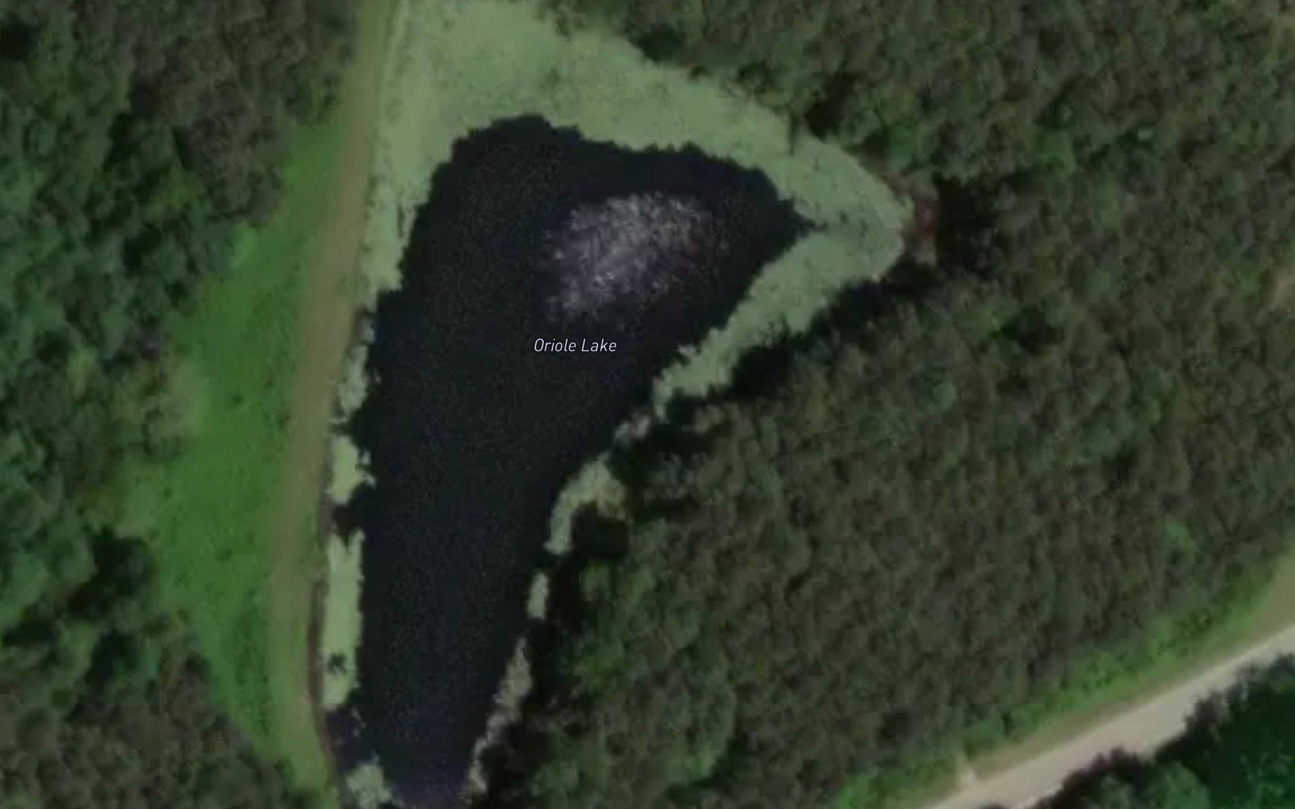 Oriole Lake